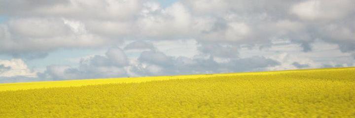 OultonThomas's profile banner image