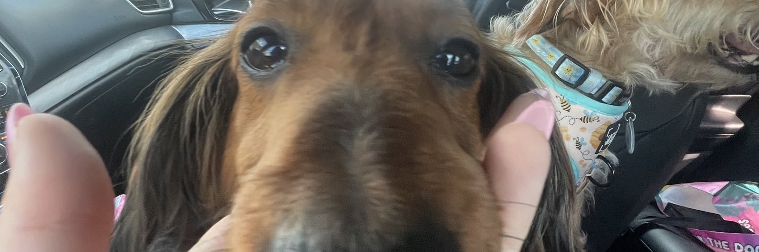 _shelbbss_'s profile banner image