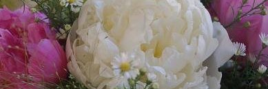 Tabucarude's profile banner image