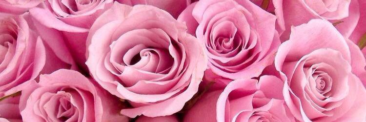 Anna_Strick's profile banner image