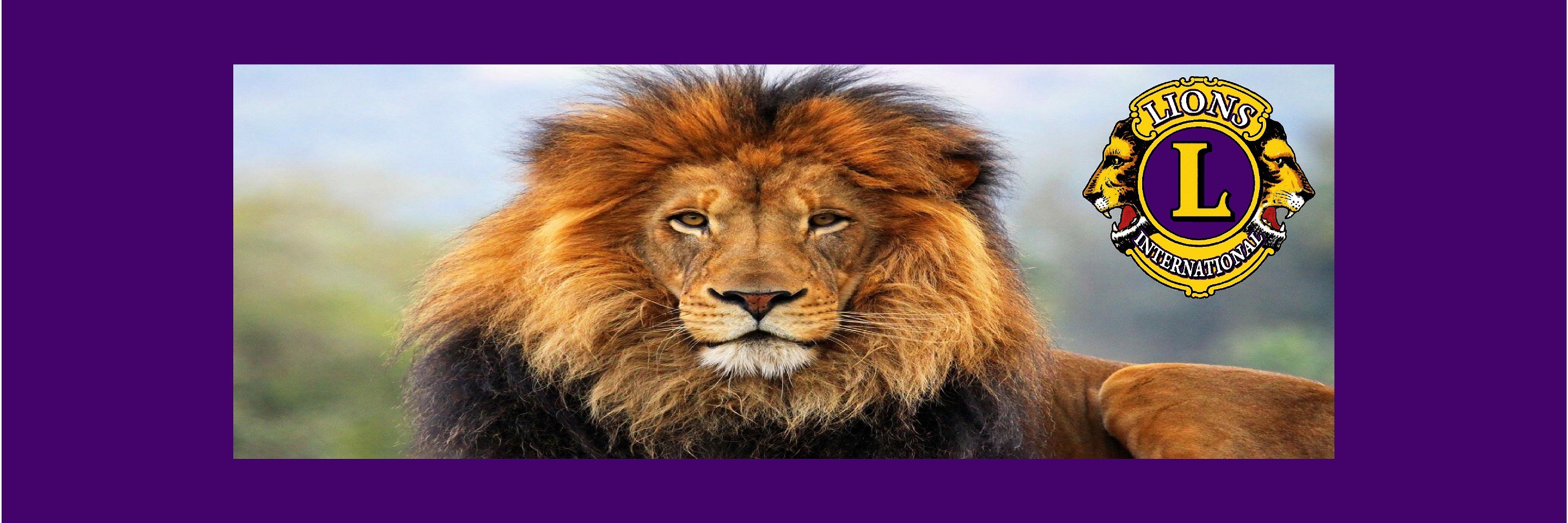 ForneyLions's profile banner image