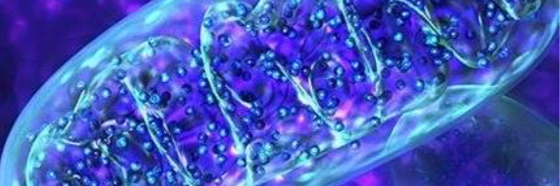 NMBarry_1's profile banner image