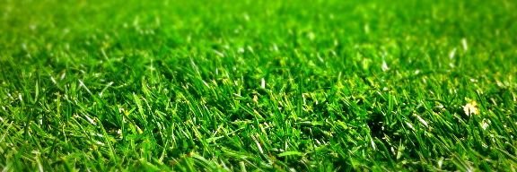 nzfarming's profile banner image