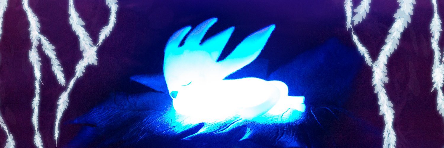 Rebecca Albrecht banner