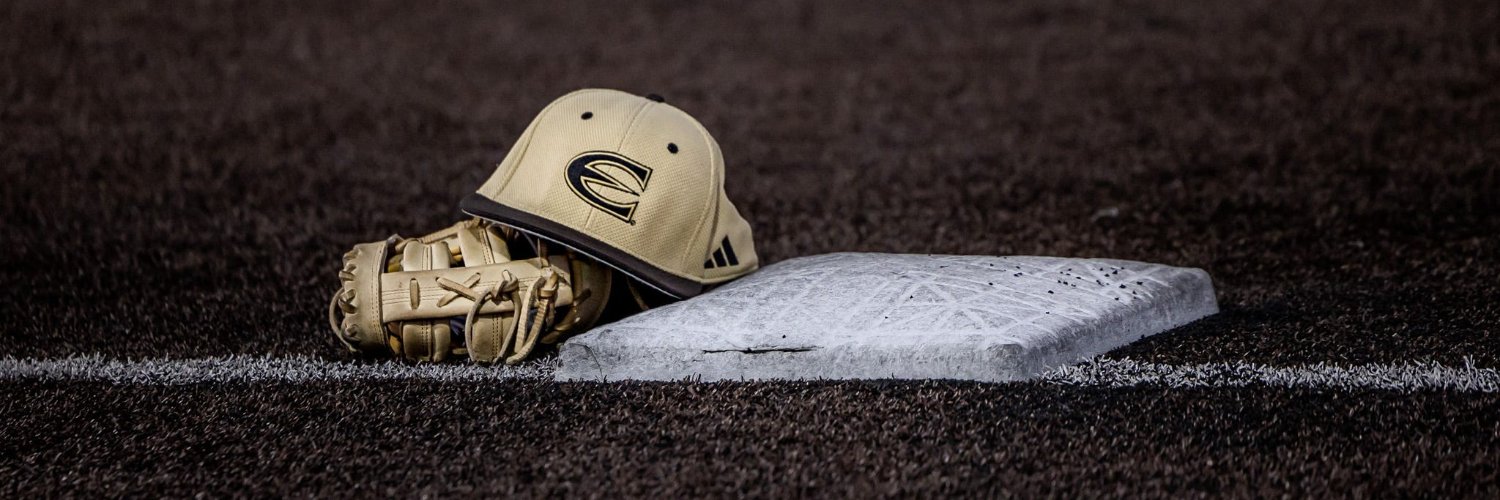 Hornet Baseball banner