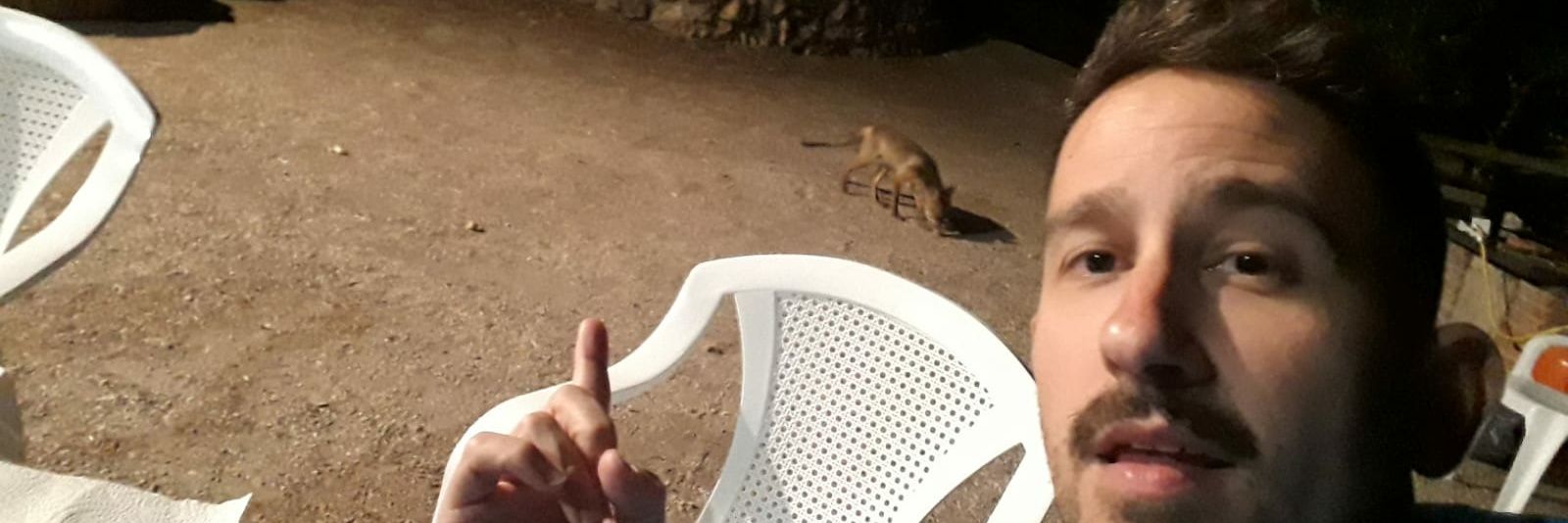 daniel grillo banner