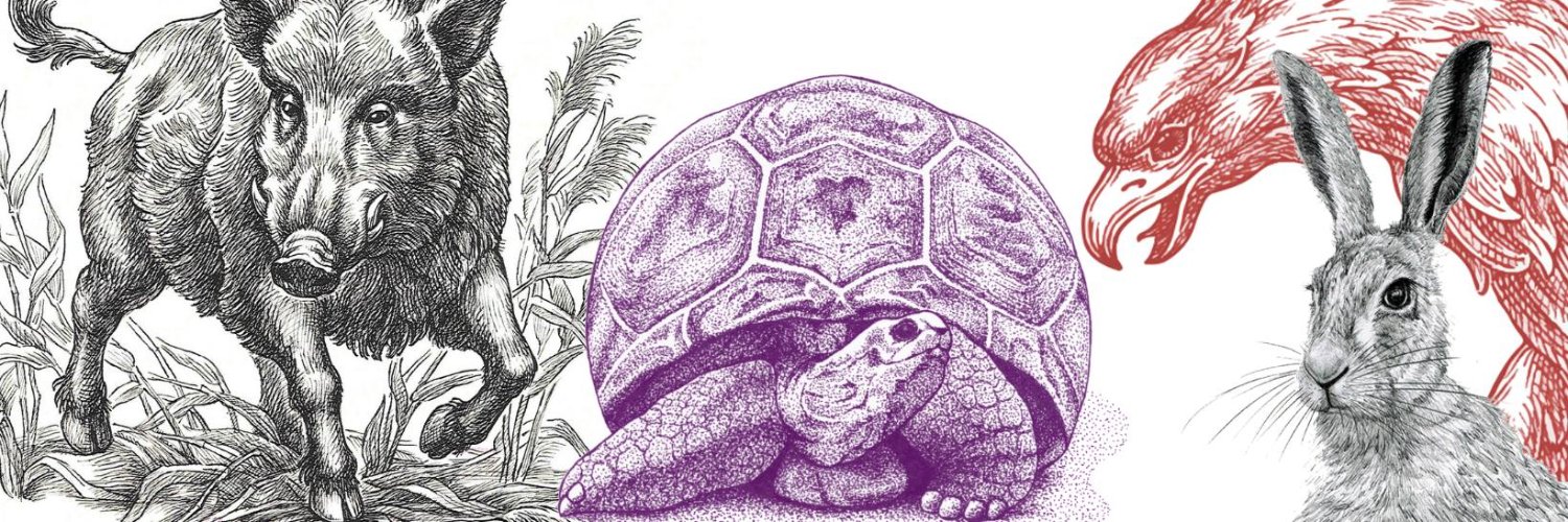 monterinaldi's profile banner image