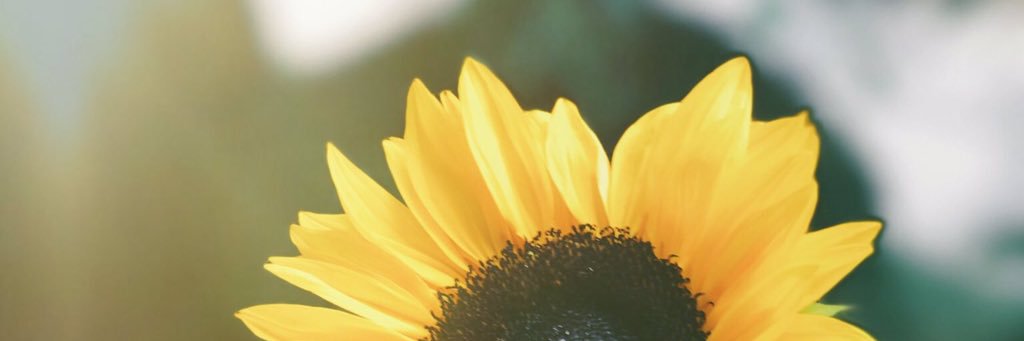 tefyhl's profile banner image