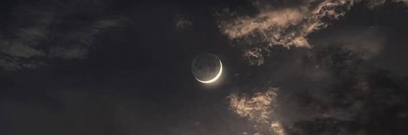 StoneColdCarlxs's profile banner image
