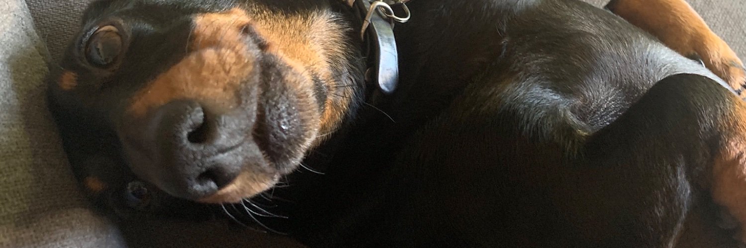 jim fear @snare@aus.social banner