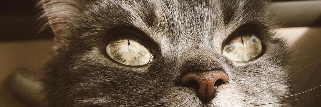 martaruiz_7's profile banner image