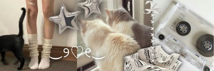 disquue's profile banner image
