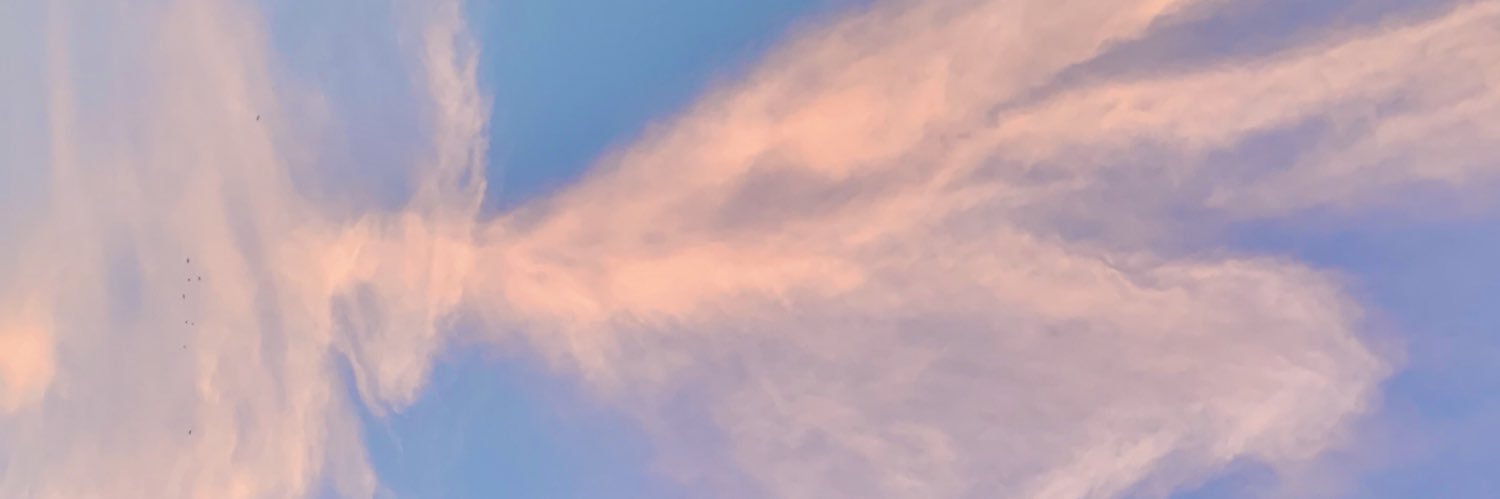 tarapassmore's profile banner image