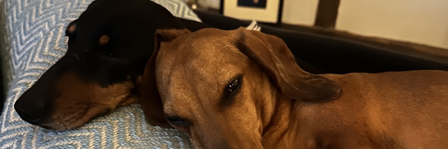 pravvyprav's profile banner image