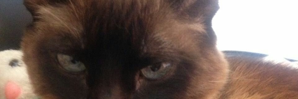 darifa11's profile banner image