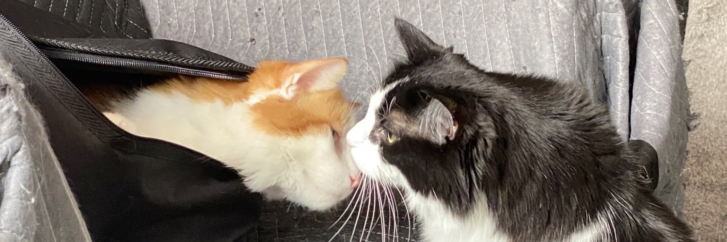 NOTSOBORINGALEX's profile banner image