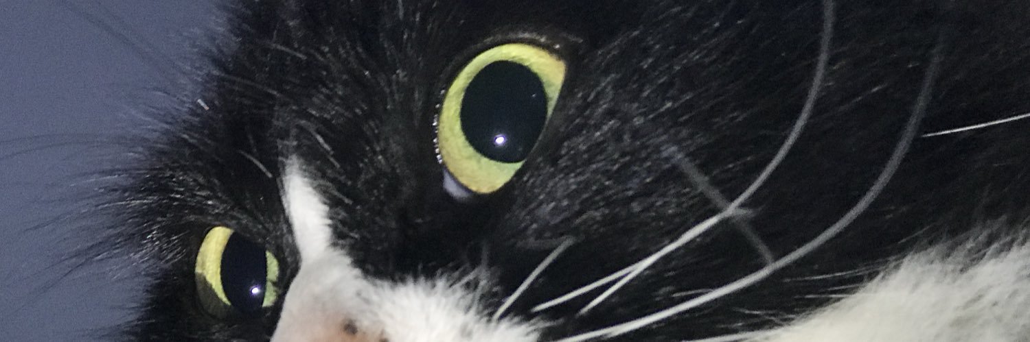 ElyMickitah's profile banner image