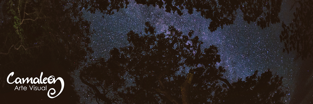 Gumonx's profile banner image