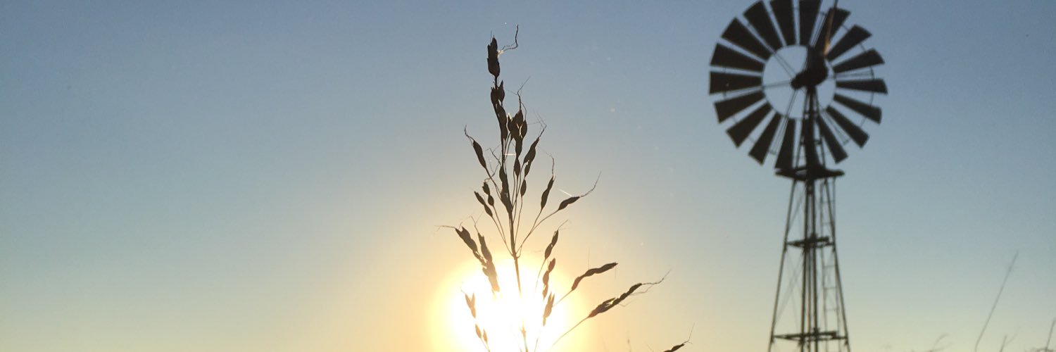 alogallego's profile banner image