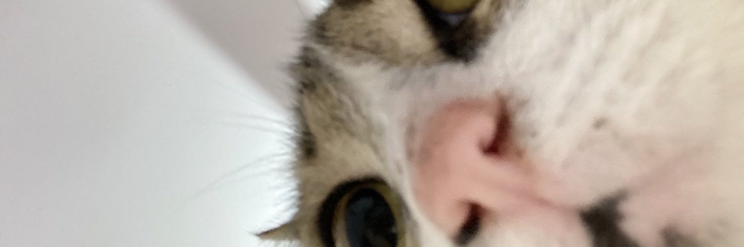 M_nica's profile banner image