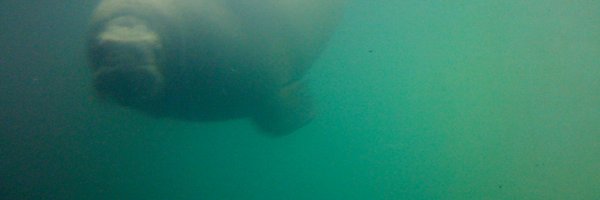 incneet Profile Banner