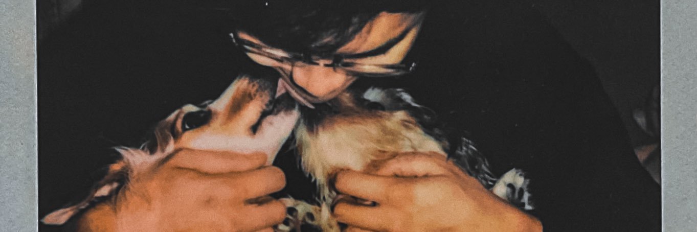 pjemcir's profile banner image