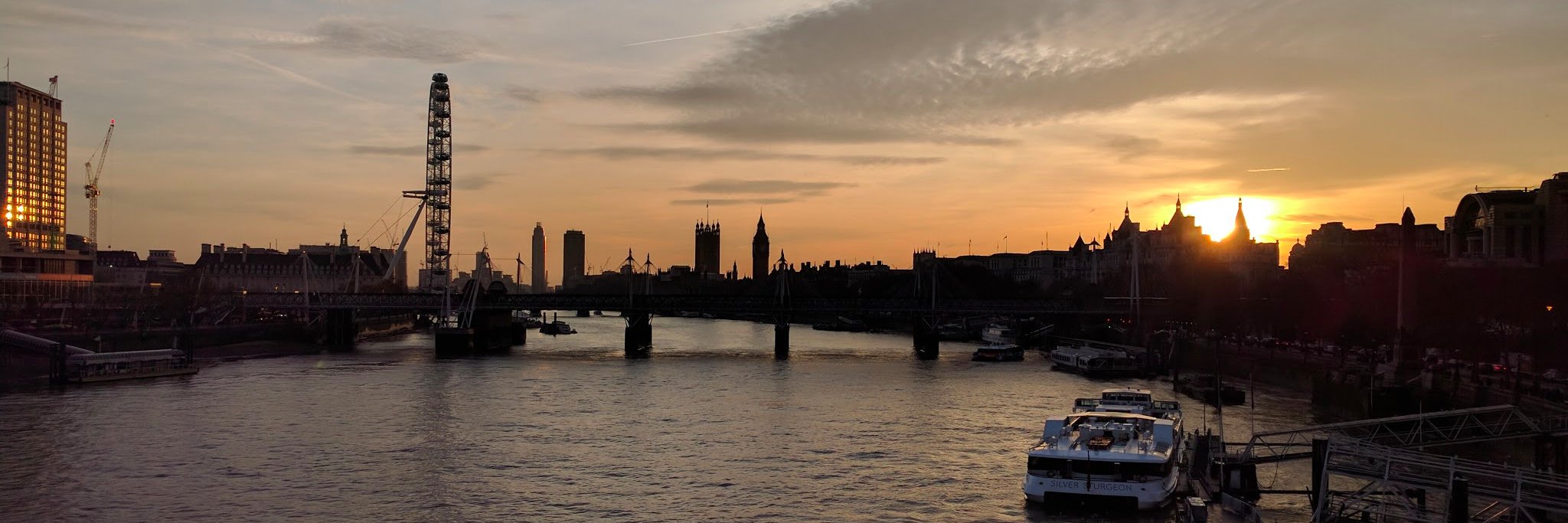 Alex_Radovic's profile banner image