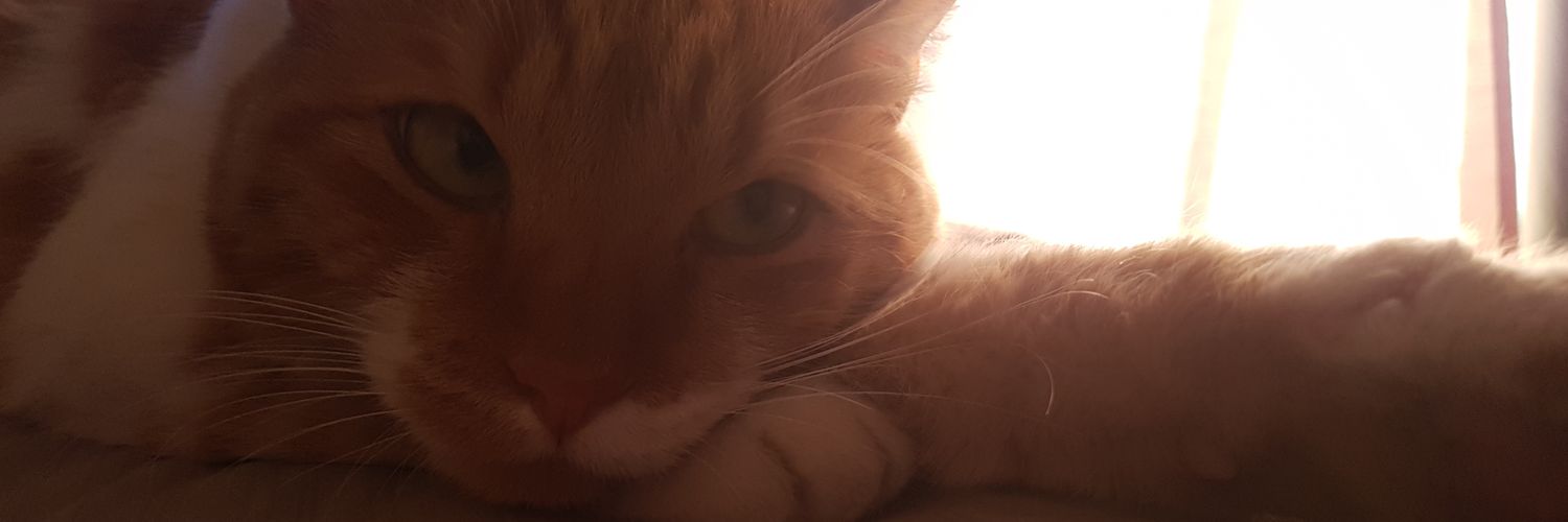 MolinaNow's profile banner image