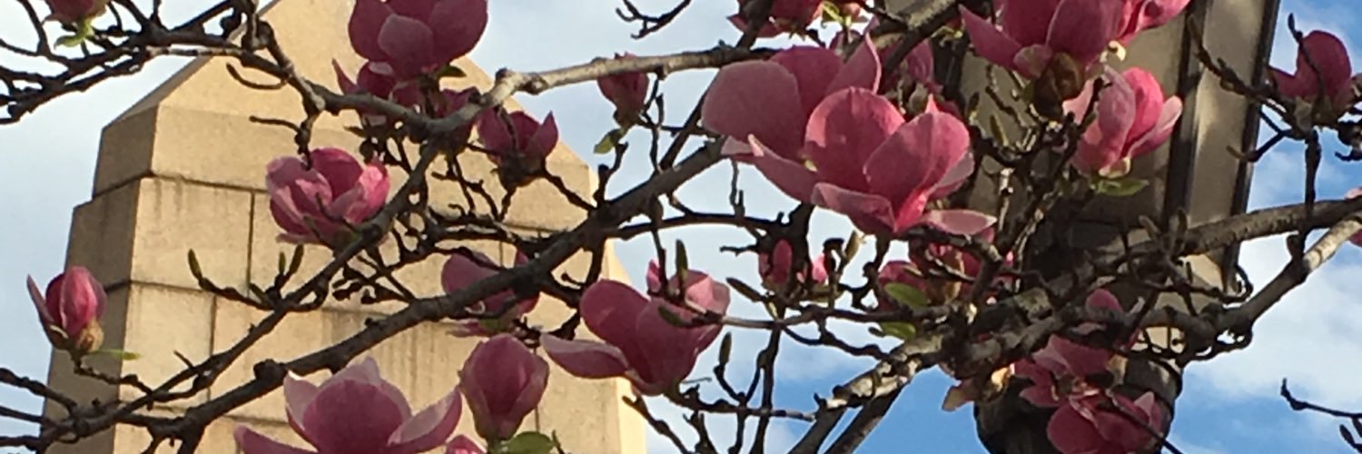 MproserNACHC's profile banner image