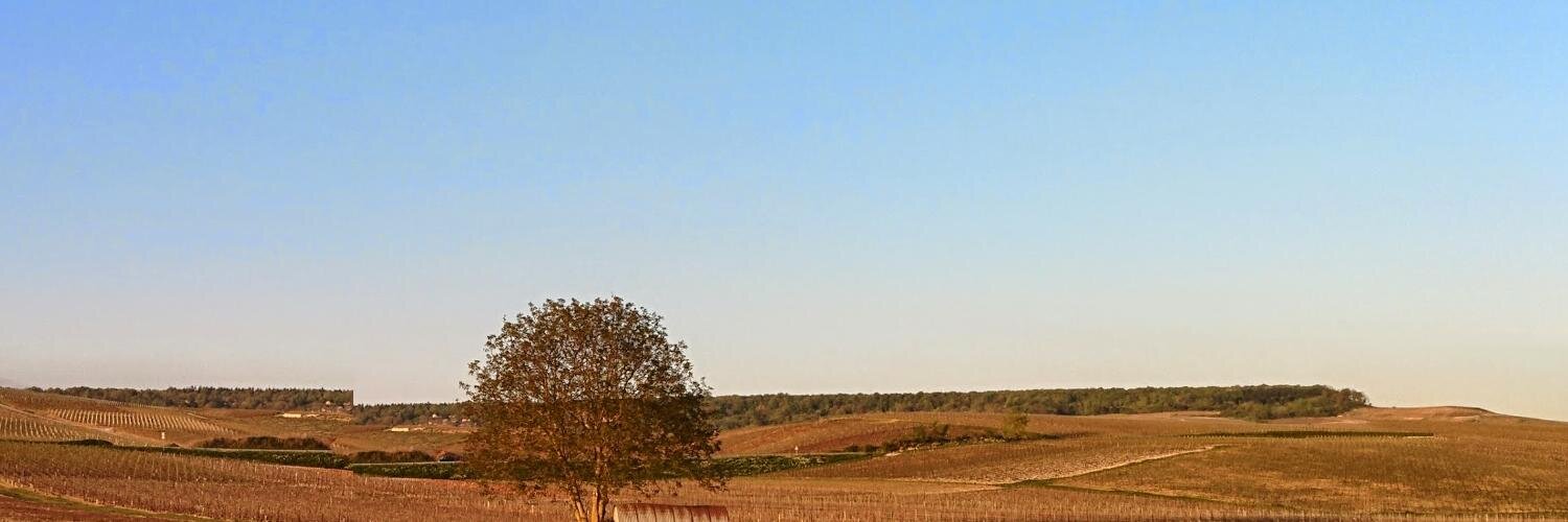 OeleGeirnaert's profile banner image