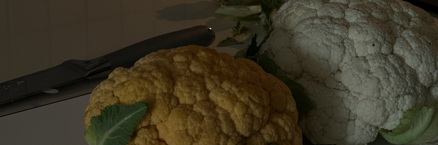 margusjenner's profile banner image