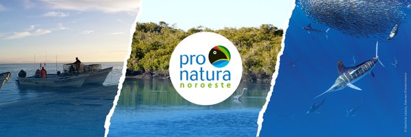 PronaturaNoroes Profile Banner
