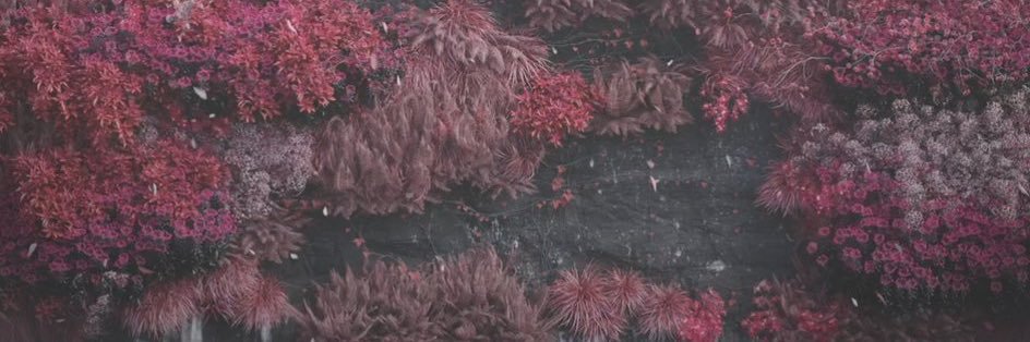 __Lxdia__'s profile banner image