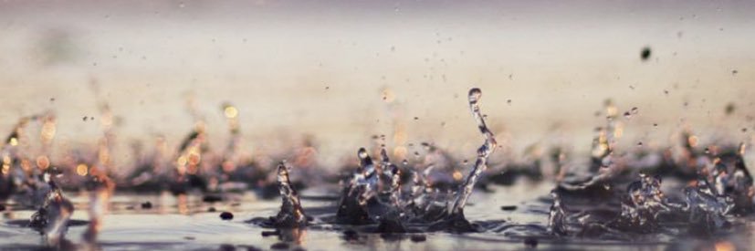 Mashail_sa's profile banner image