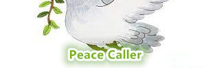 fglglobal's profile banner image