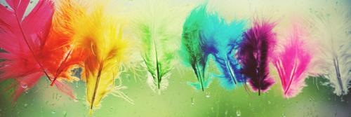 AroaChis's profile banner image