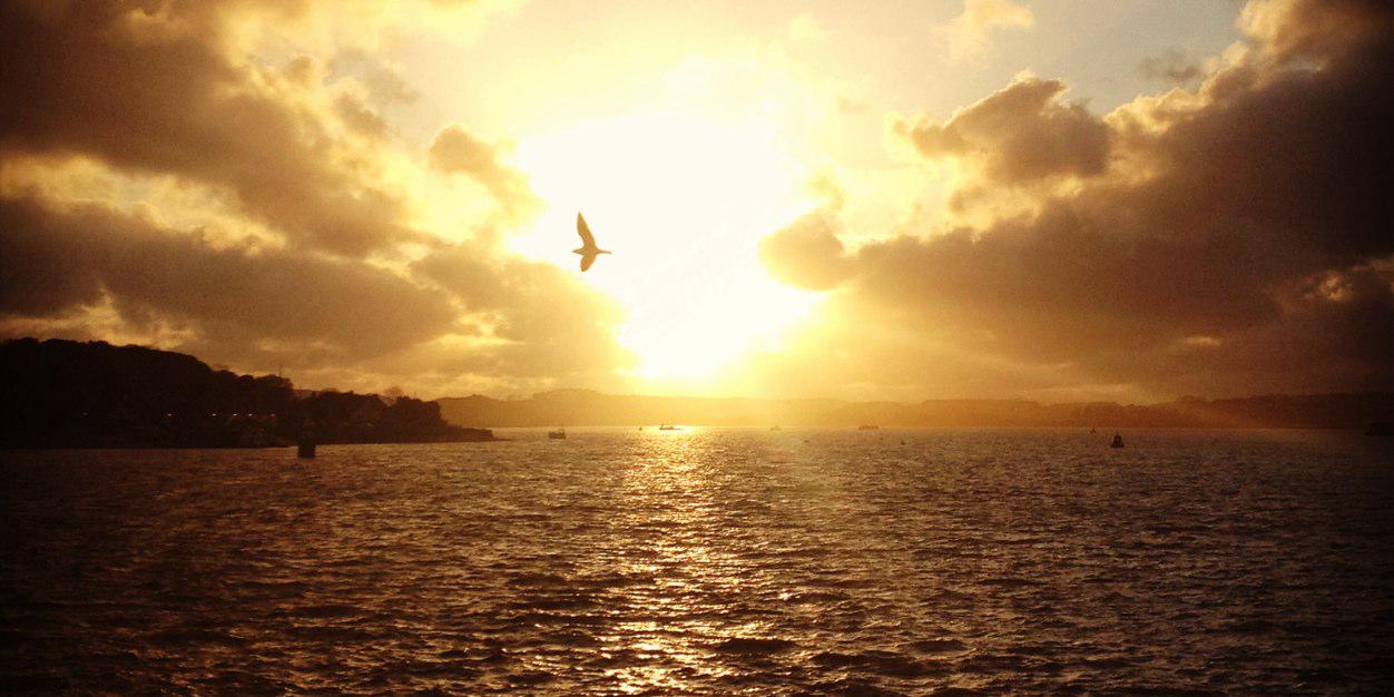 Shelle_Duffin's profile banner image