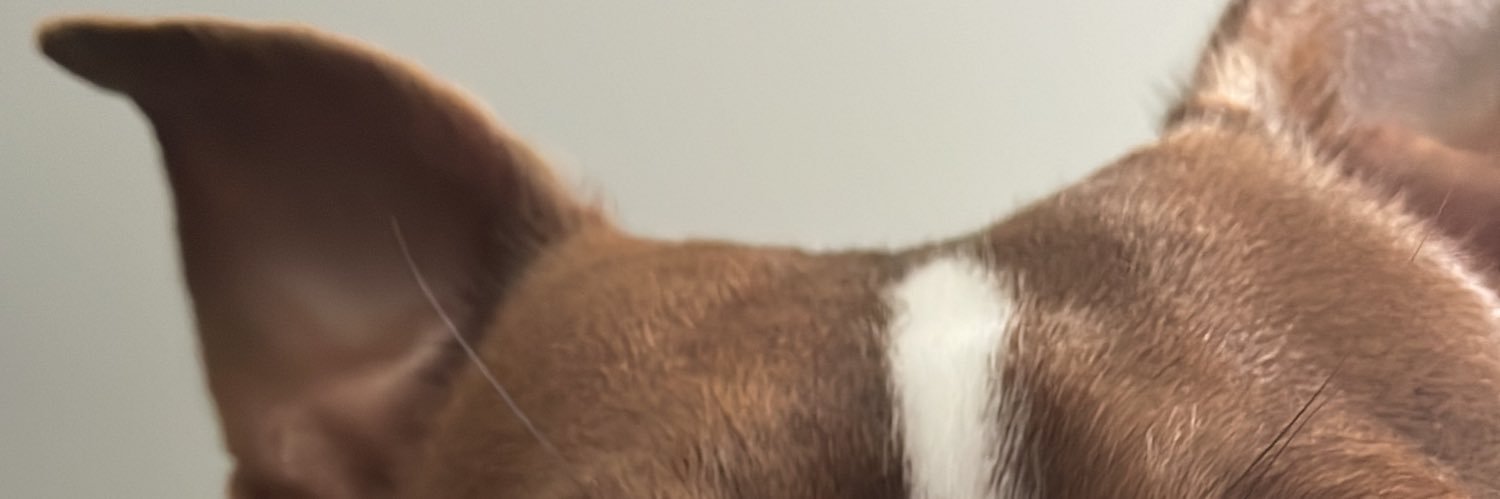 anarondons's profile banner image