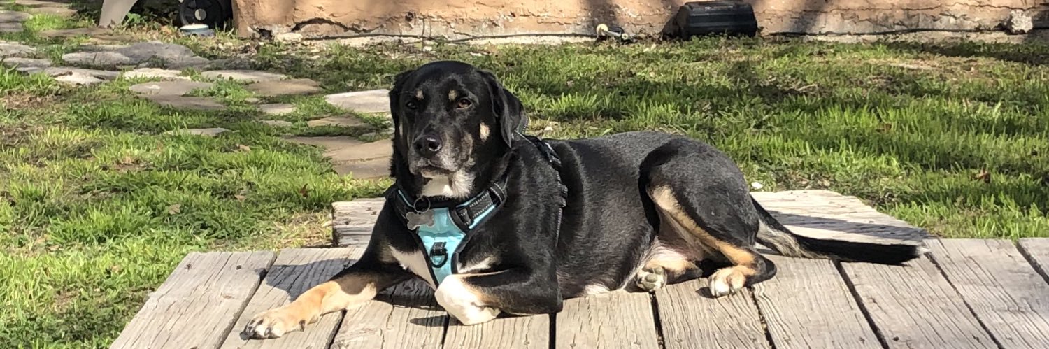 jeezjoann's profile banner image