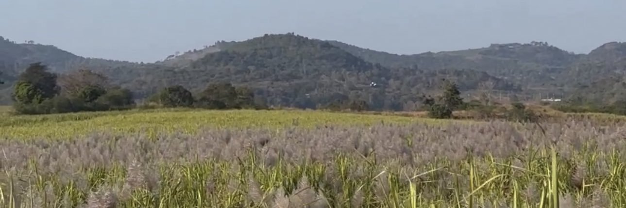 TUKATACK's profile banner image