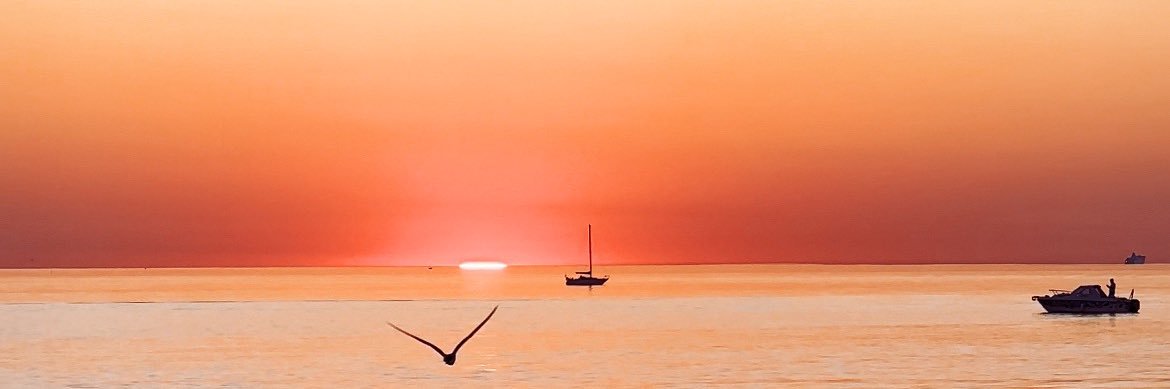 _ankran_'s profile banner image