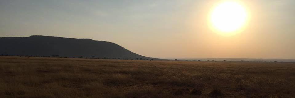 SaraFernandez_'s profile banner image