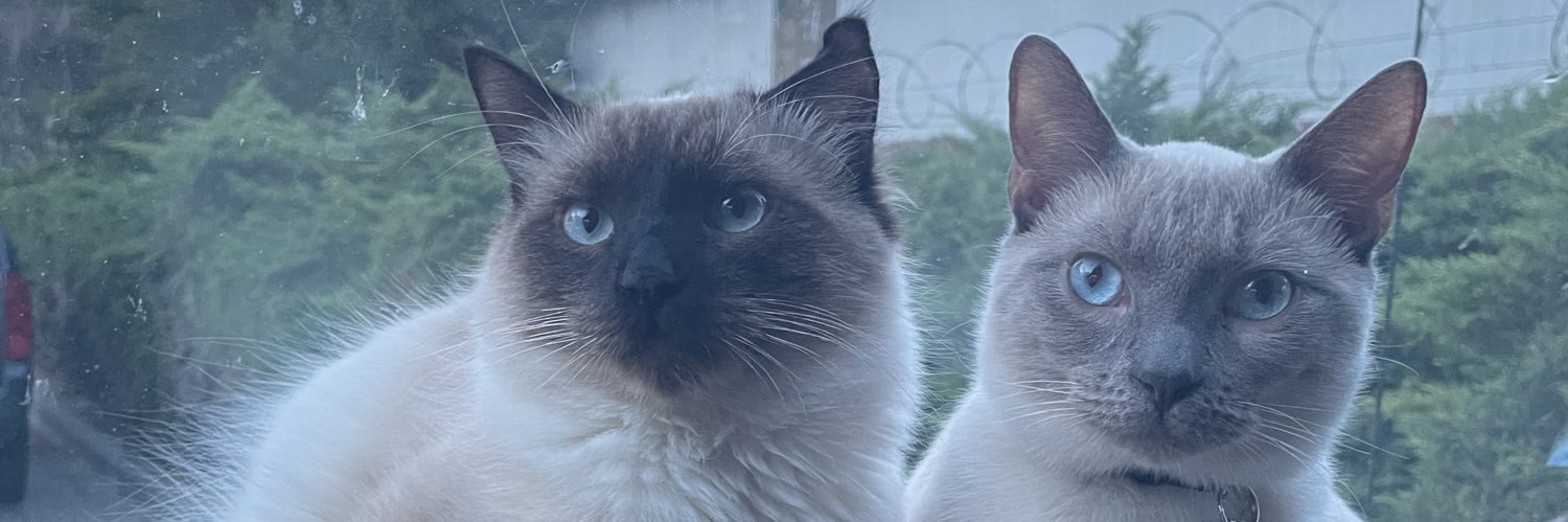 susanmaletta's profile banner image