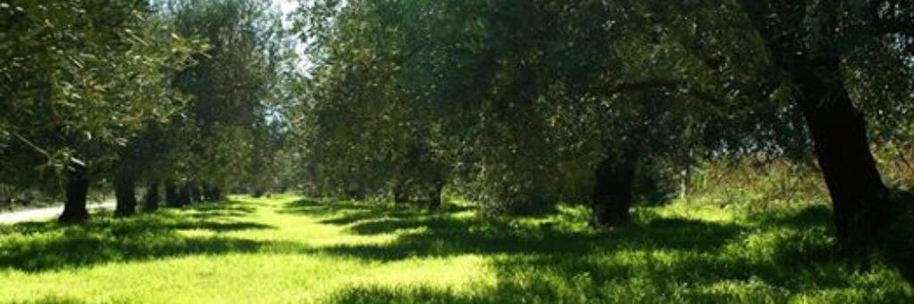 John_Nik1's profile banner image
