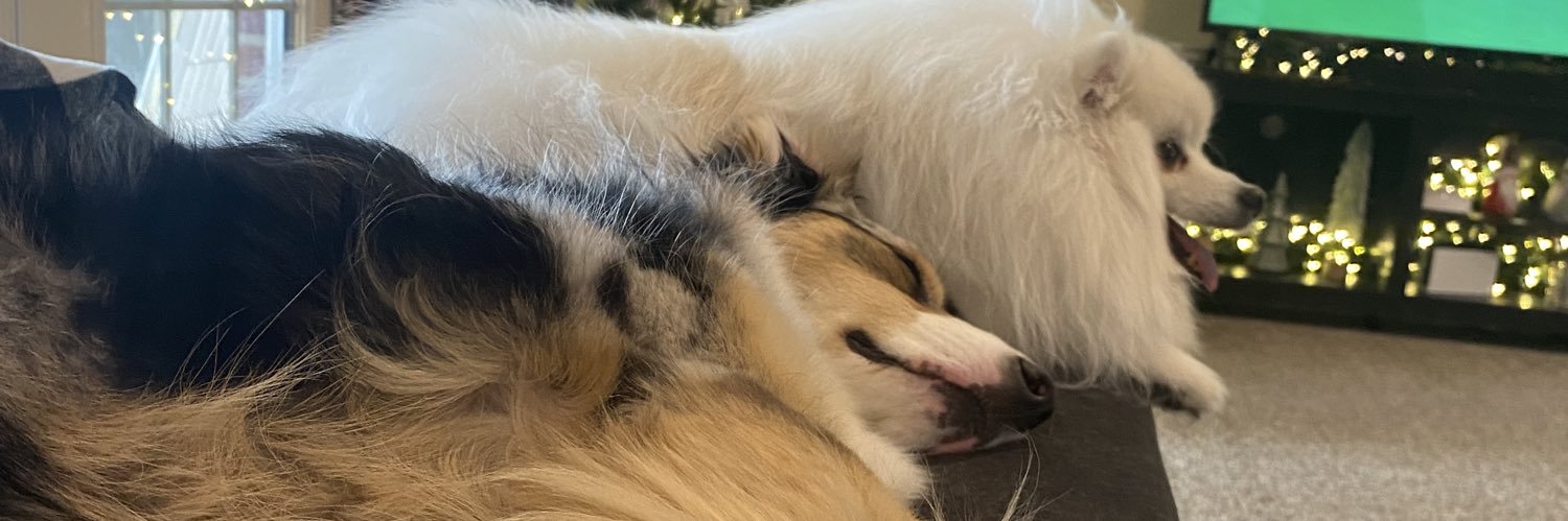 hmorris012's profile banner image