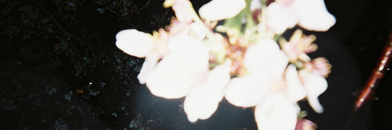 Azazelyiii's profile banner image