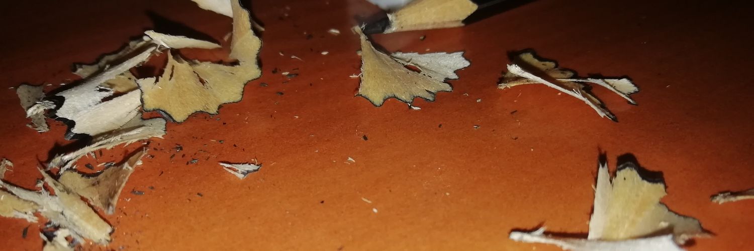 Bindlo's profile banner image