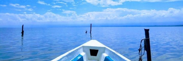 NJimmy__'s profile banner image