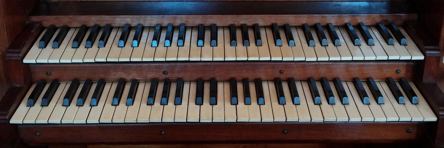 Delyth Morgans Phillips banner