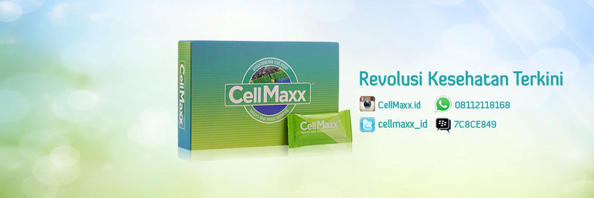 CellMaxx_ID's profile banner image